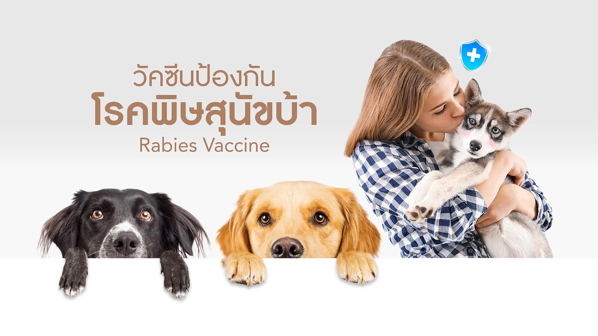 วัคซีนป้องกันโรคพิษสุนัขบ้า