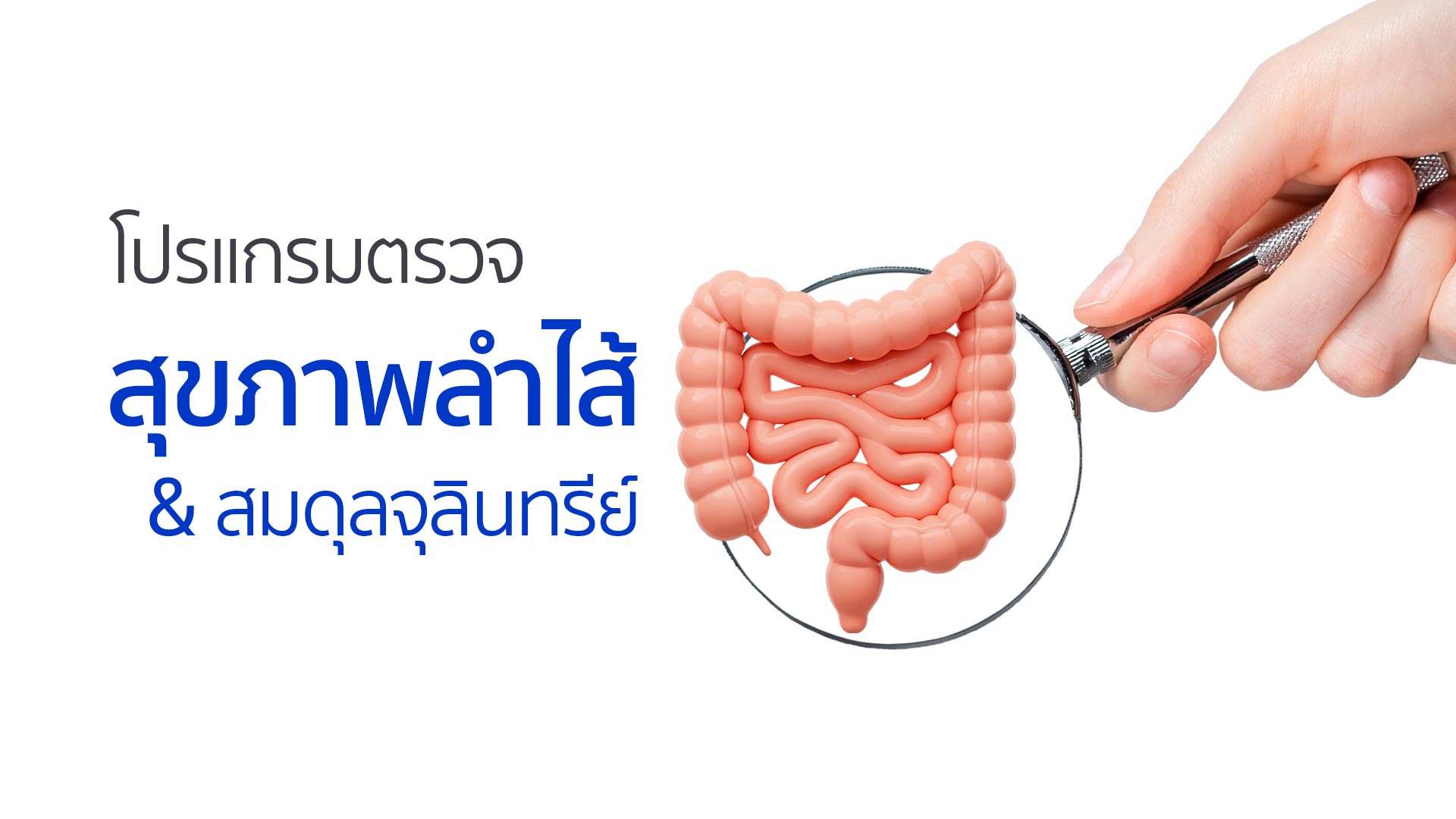 โปรแกรมตรวจ สุขภาพลำไส้ & สมดุลจุลินทรีย์