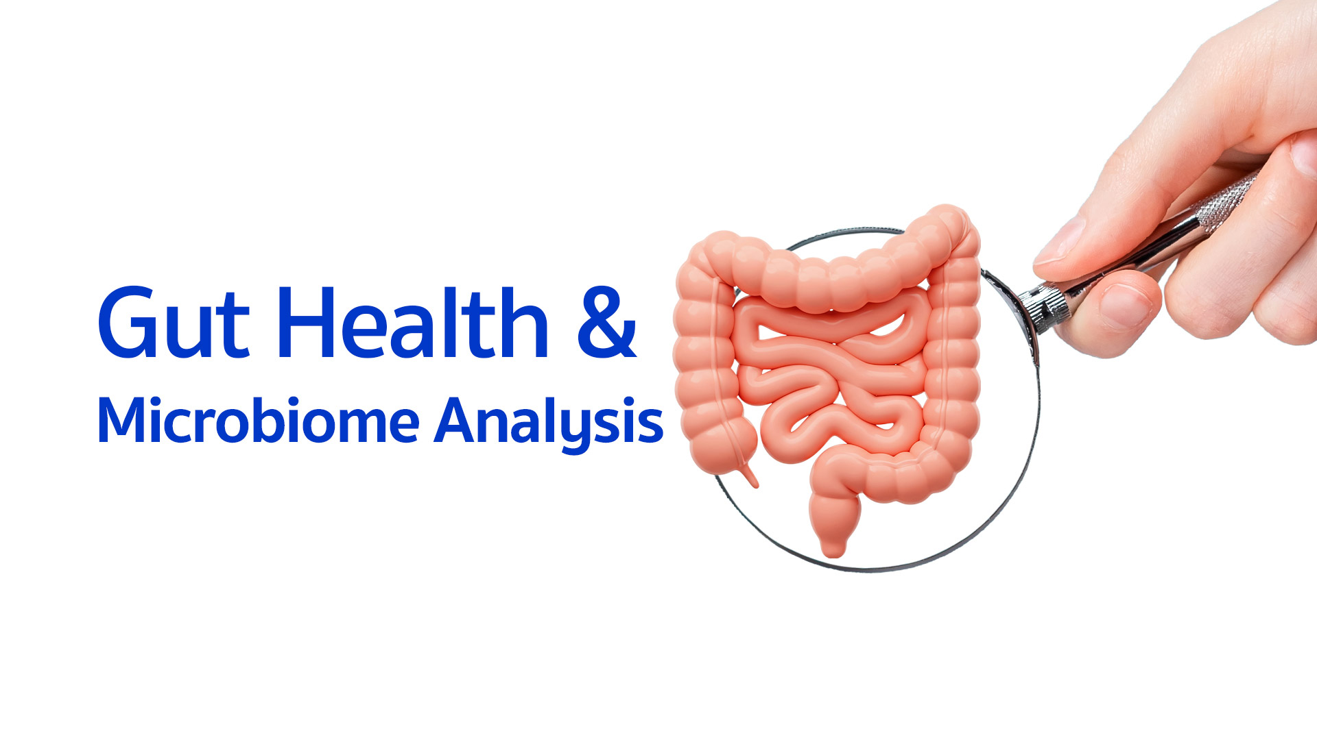 Gut Health & Microbiome Balance Program