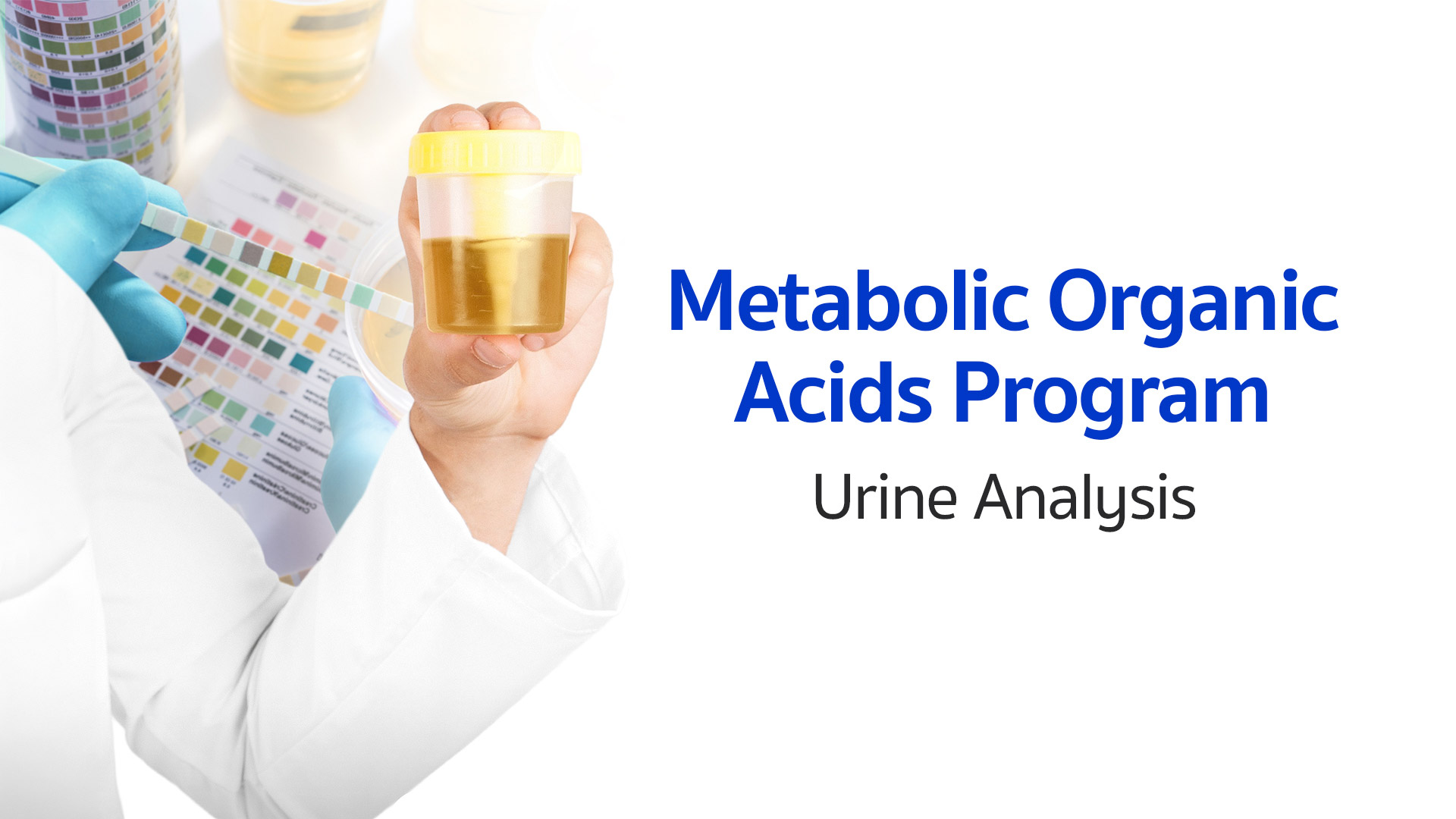 Metabolic Health & Organic Acids Analysis