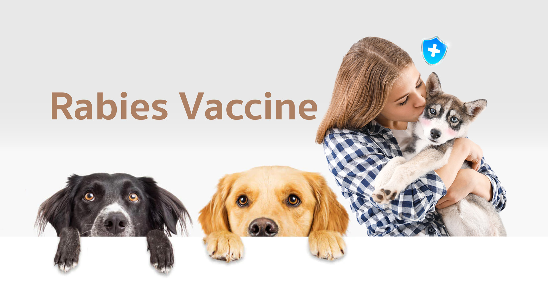 Rabies Vaccine