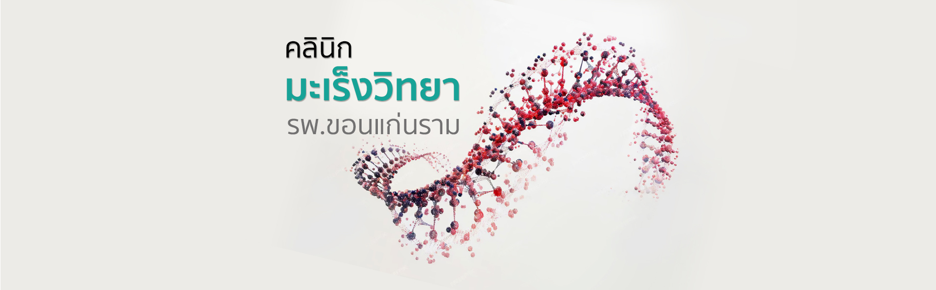 Slide web %e0%b8%a1%e0%b8%b0%e0%b9%80%e0%b8%a3%e0%b9%87%e0%b8%87%e0%b8%a7%e0%b8%b4%e0%b8%97%e0%b8%a2%e0%b8%b2